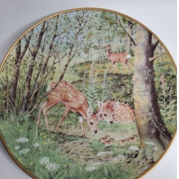 1981 The Wood Year Fawn in the June Mead Coll Plte